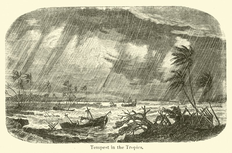 Sturm in den Tropen von American School