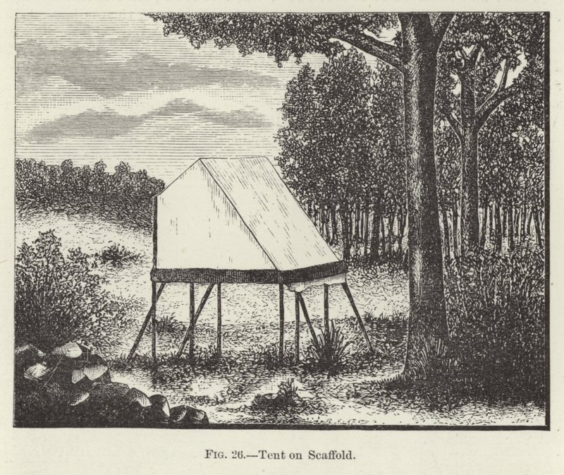 Zelt auf Gerüst von American School