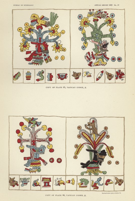 Vatikan-Codex von American School