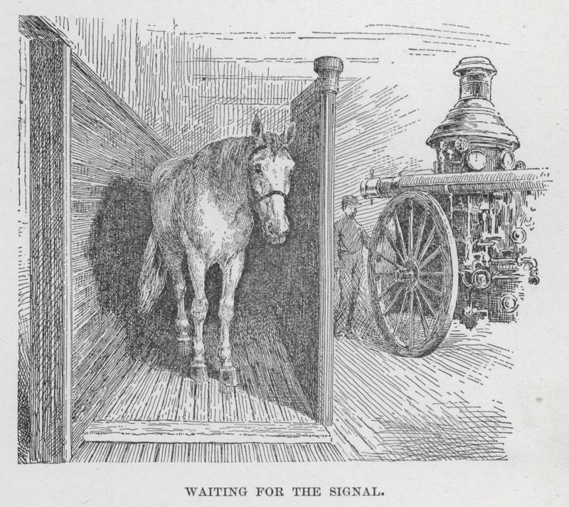 Warten auf das Signal von American School