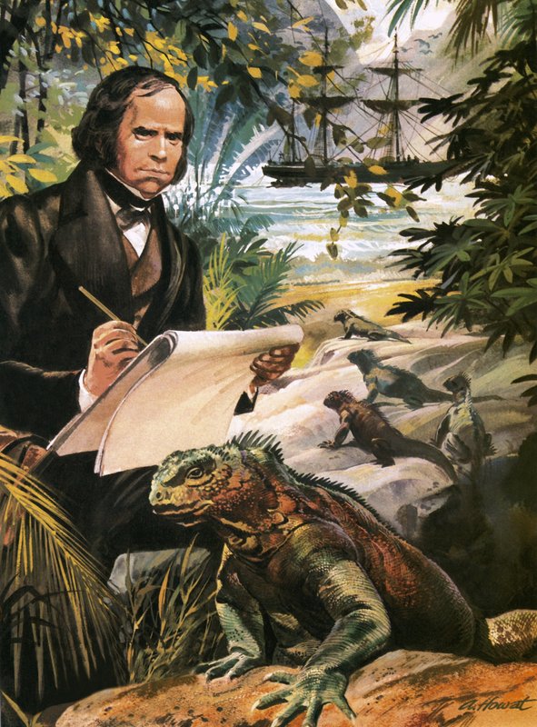 Charles Darwin auf den Galapagos-Inseln von Andrew Howat