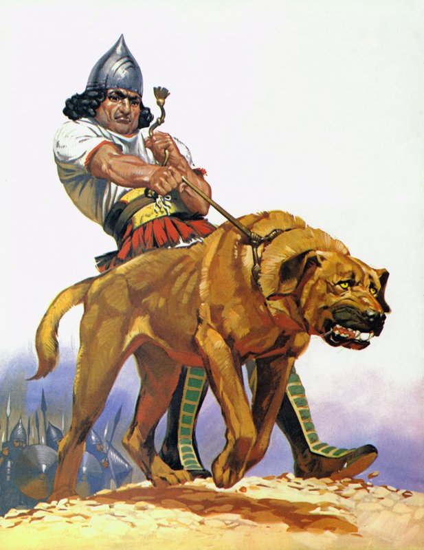 Assyrischer Kampfhund von Angus McBride