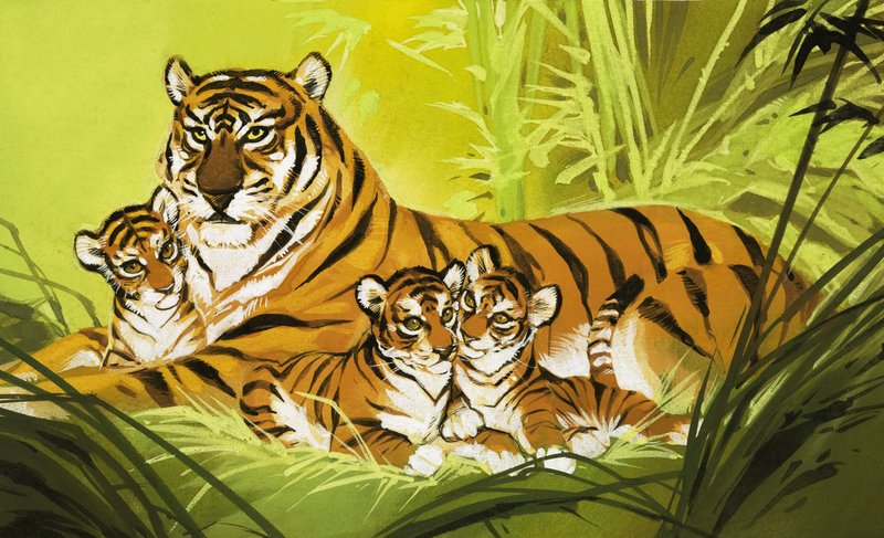 Familie von Tigern von Angus McBride