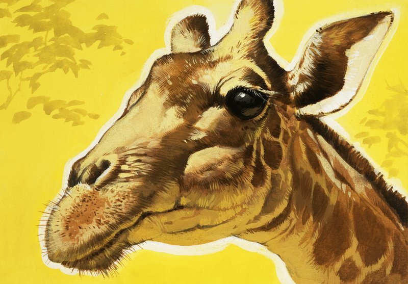 Kopf einer Giraffe von Angus McBride