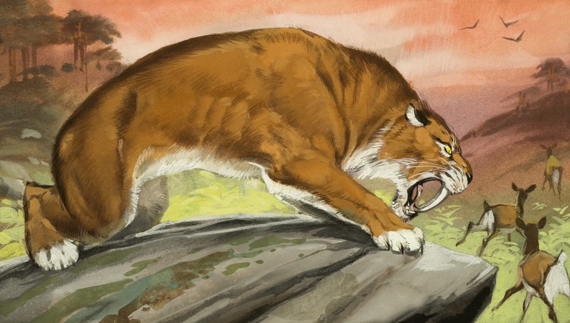 Säbelzahntiger auf der Jagd von Angus McBride
