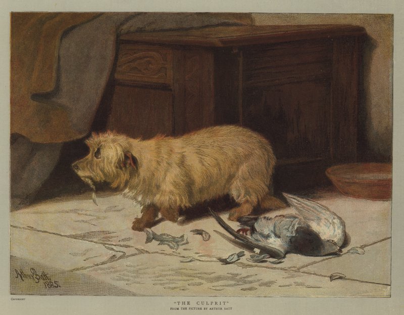 Der Schuldige von Arthur Batt