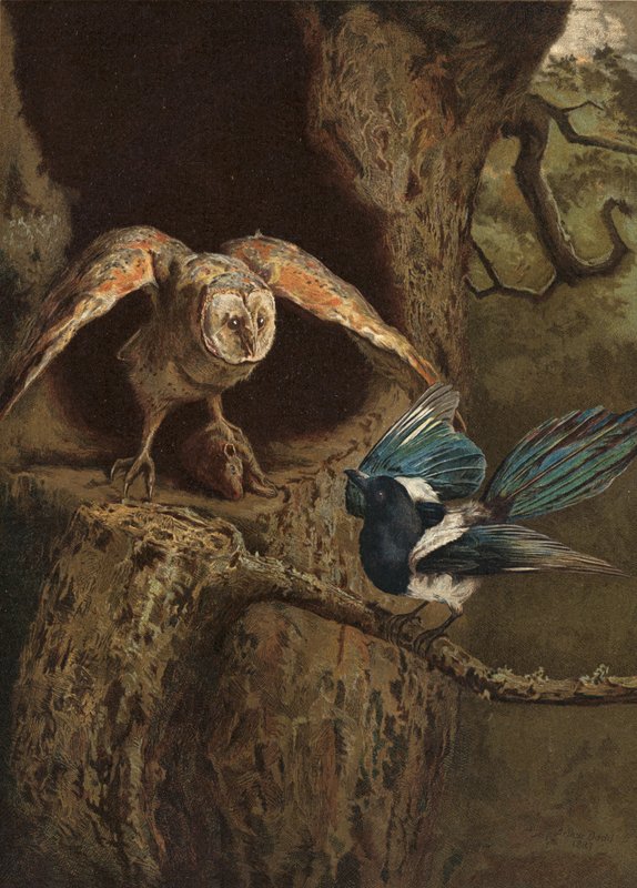 Witz und Weisheit von Arthur Charles Dodd