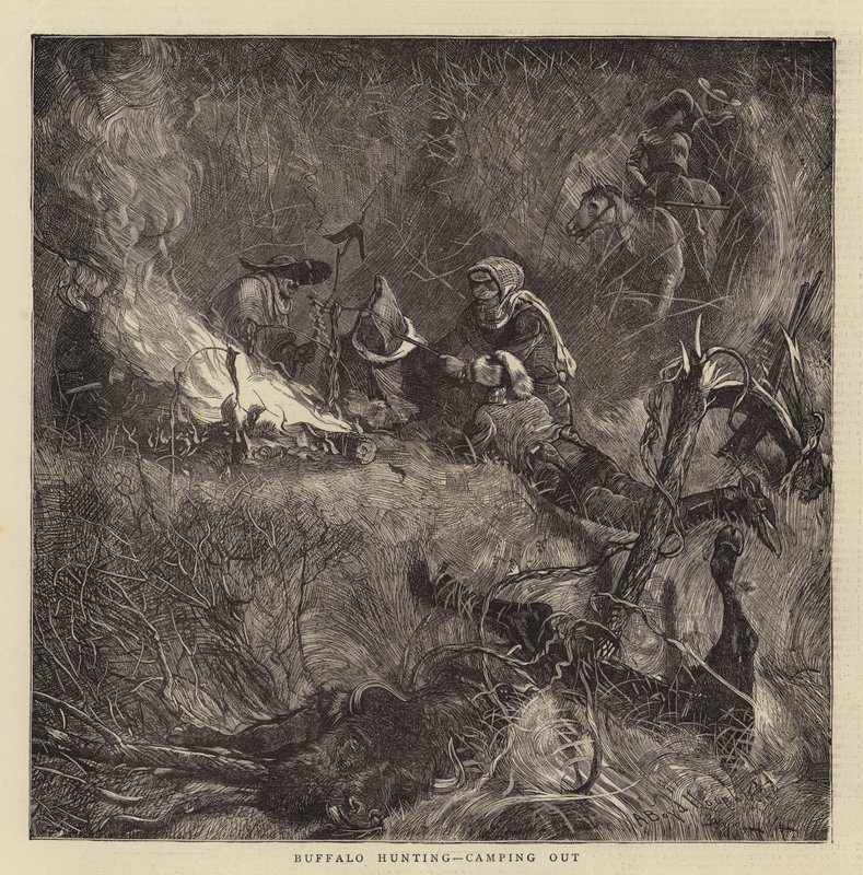 Büffeljagd, Camping von Arthur Boyd Houghton