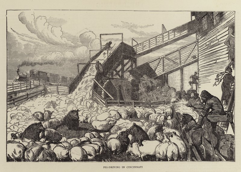 Schweinetreiben in Cincinnati von Arthur Boyd Houghton