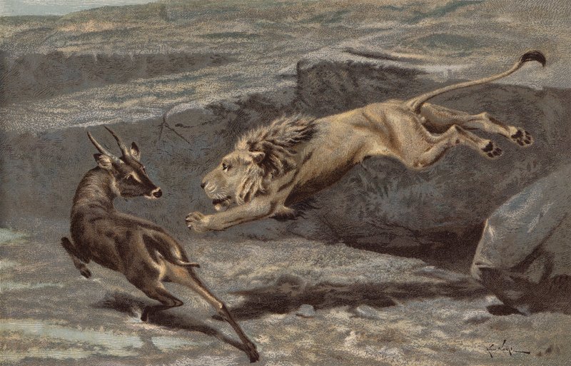 Ein nächtlicher Angriff von Arthur Wardle