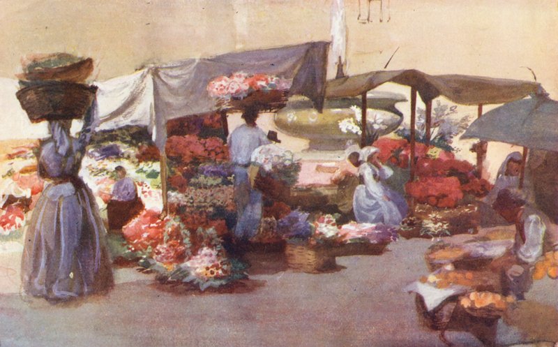 Rom: Campo de