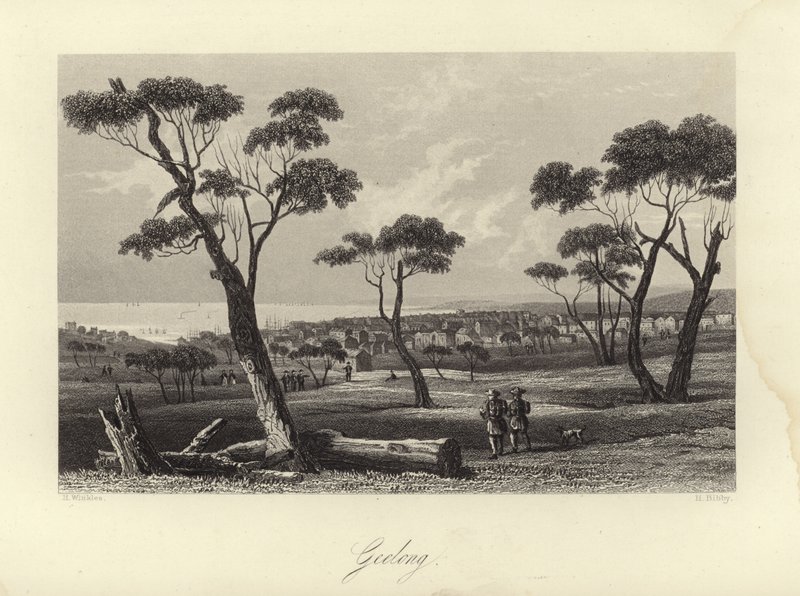 Geelong von Australian School