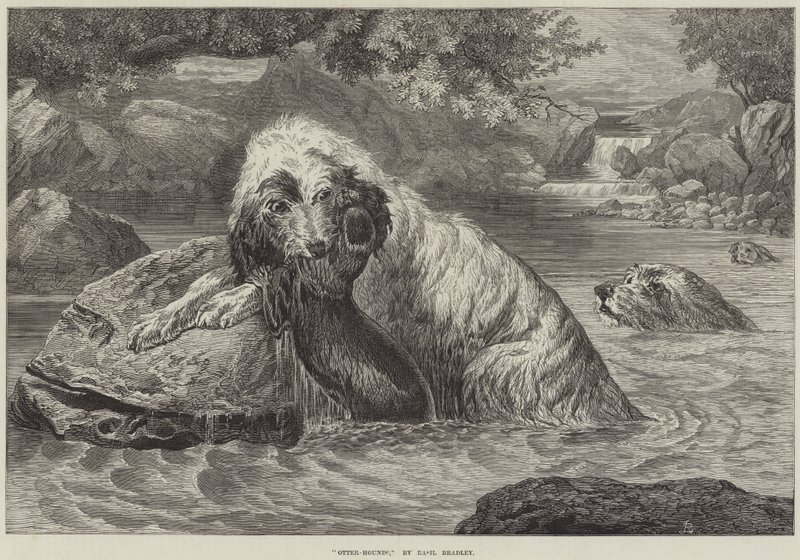 Otterhunde von Basil Bradley