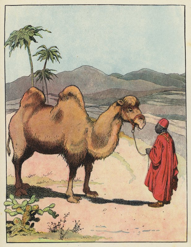 Baktrisches Kamel von Benjamin Rabier