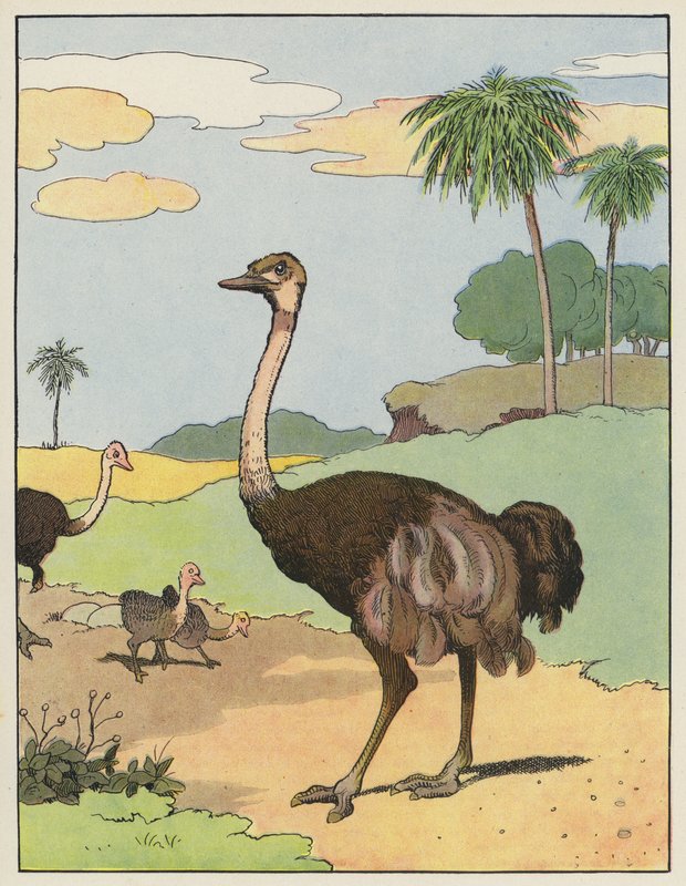 Strauß von Benjamin Rabier