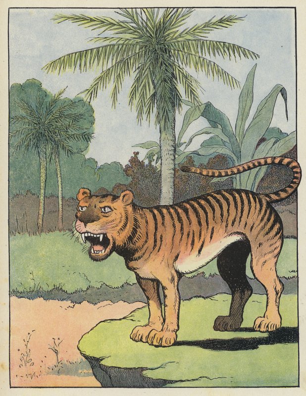Tiger von Benjamin Rabier