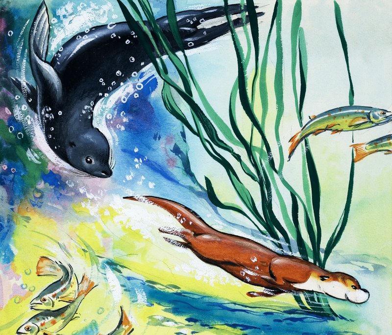 Fliptail der Otter von Bert Felstead