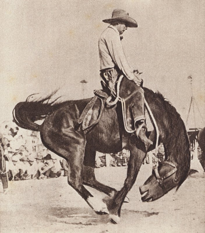 Cowboy reitet auf einem bockenden Bronco von Canadian Photographer