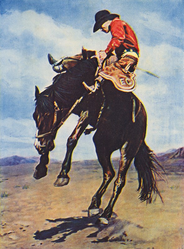 Cowboy reitet auf einem bockenden Bronco von Canadian Photographer