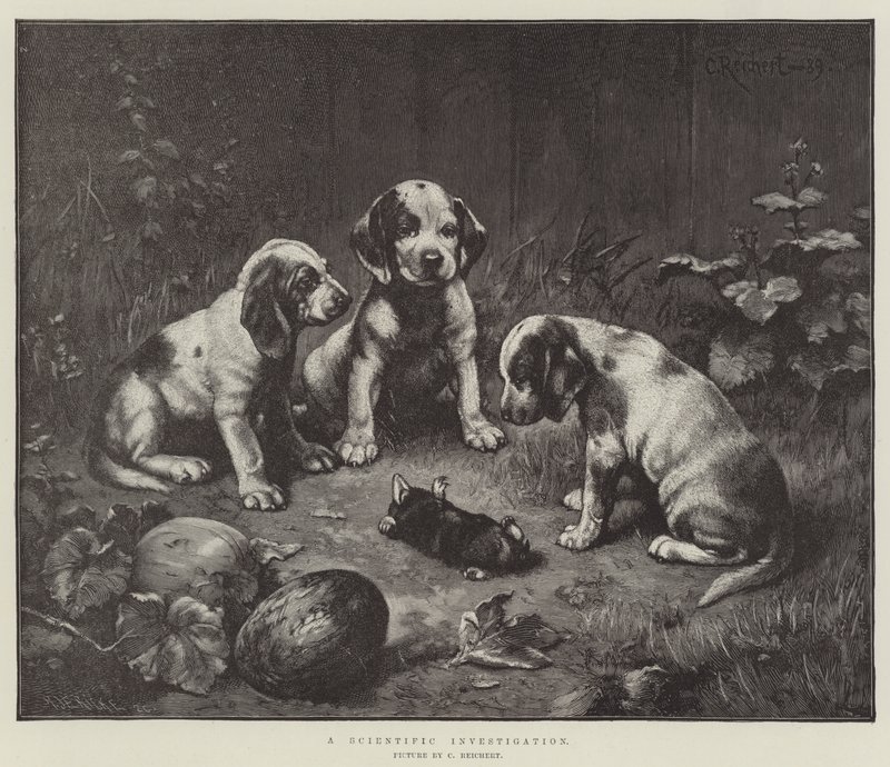 Eine wissenschaftliche Untersuchung von Carl Reichert