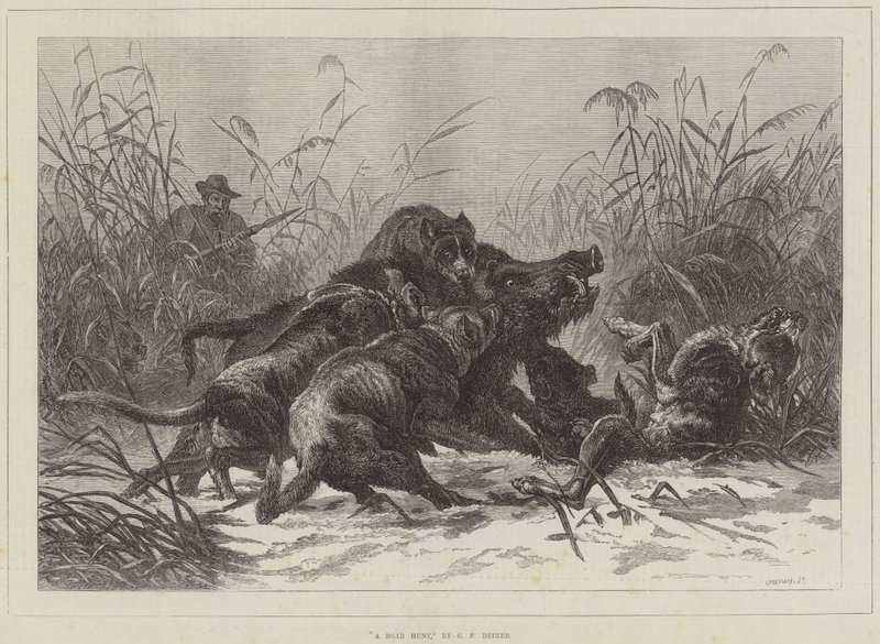 Eine Wildschweinjagd von Carl Friedrich Deiker
