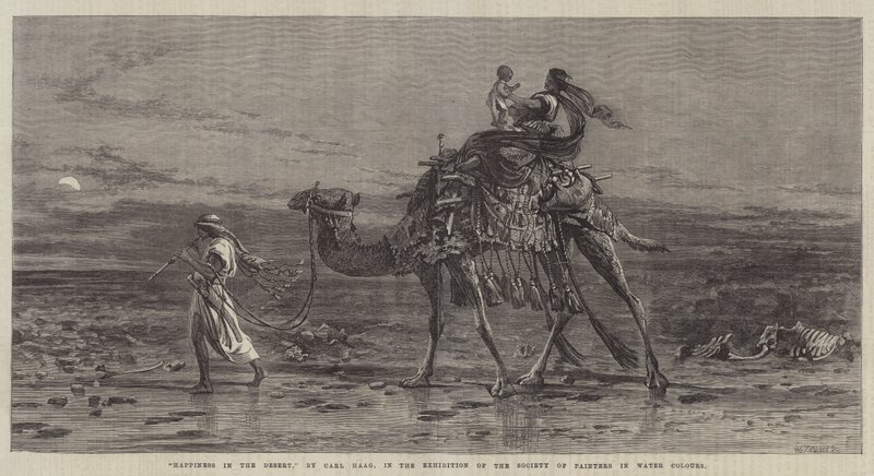 Glück in der Wüste von Carl Haag