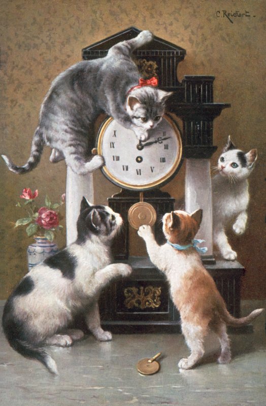 Katzenpostkarte von Carl Reichert