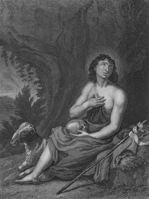 Johannes in der Wüste von Carlo Cignani