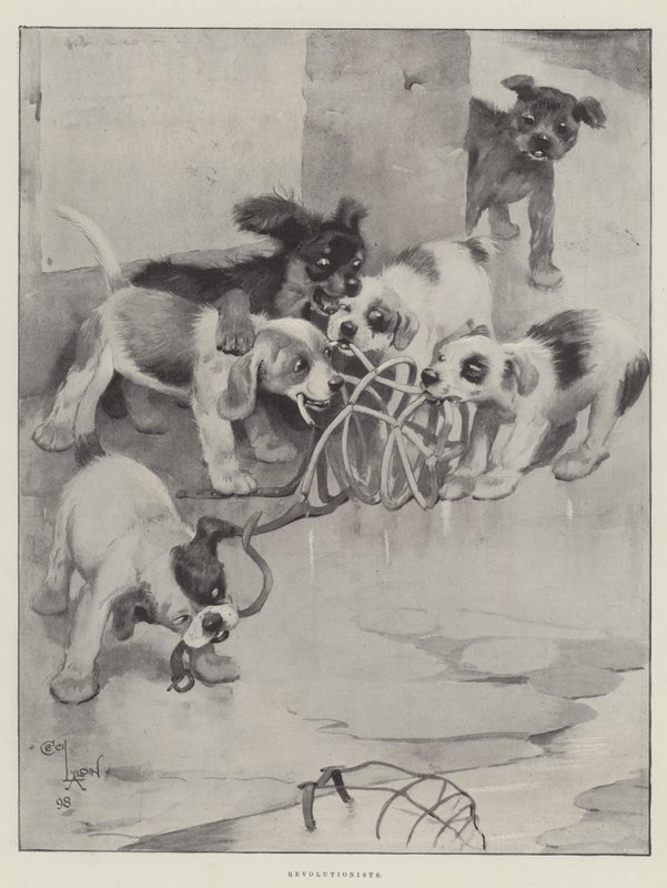 Revolutionäre von Cecil Charles Windsor Aldin
