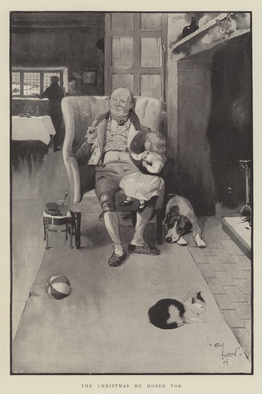 Das Weihnachten, das er sich erhoffte von Cecil Charles Windsor Aldin