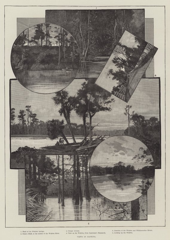 Ansichten in Florida von Charles Auguste Loye