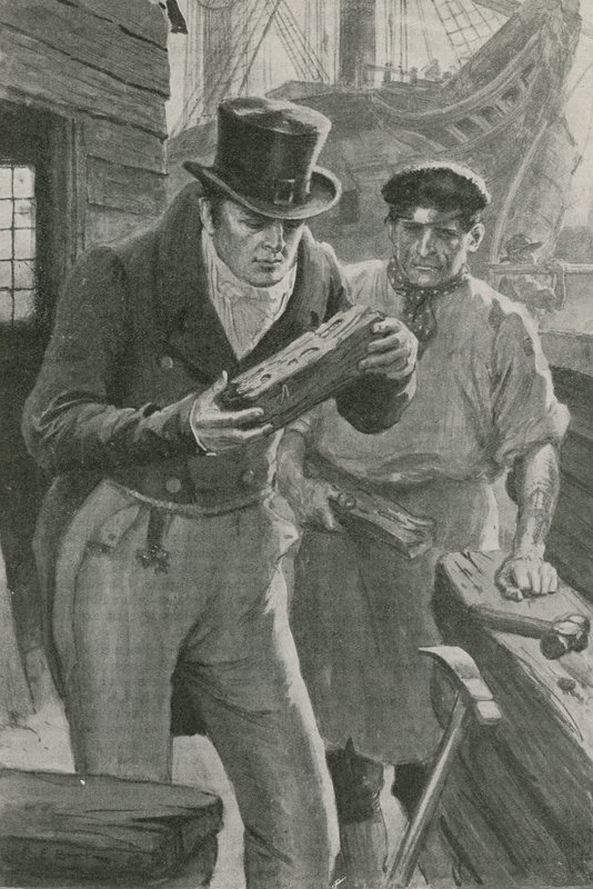 Ein kleines Insekt und eine große Idee von Charles Edmund Brock