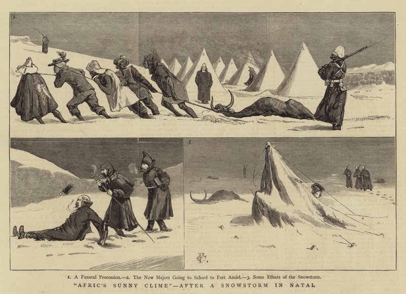 Afrikas sonniges Klima nach einem Schneesturm in Natal von Charles Edwin Fripp