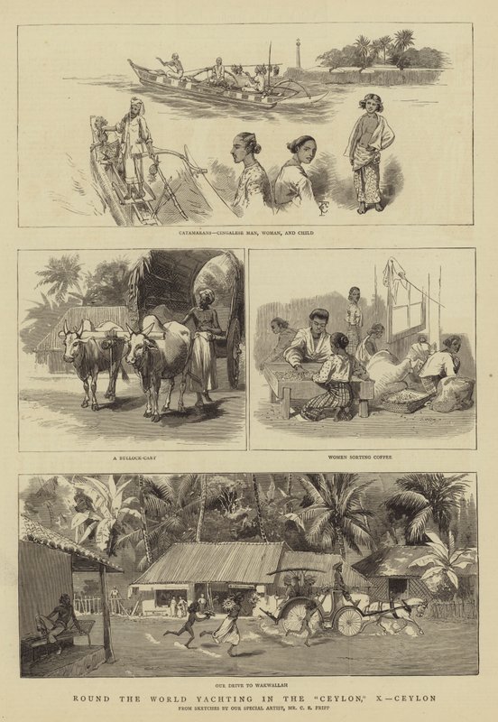 Weltumsegelung in der Ceylon, X, Ceylon von Charles Edwin Fripp