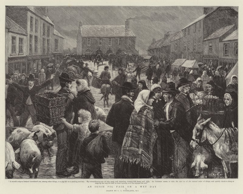 Ein irischer Schweinemarkt an einem Regentag von Charles J. Staniland