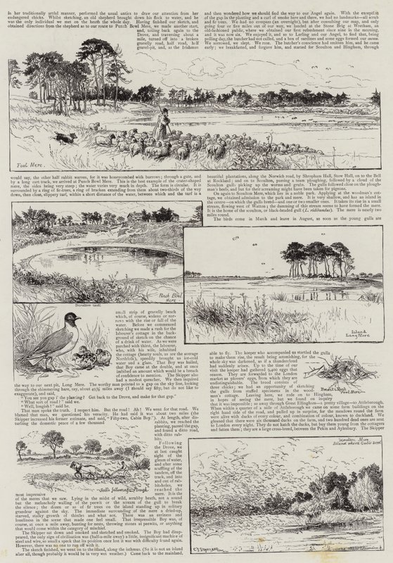 Norfolk-Ecken von Charles J. Staniland