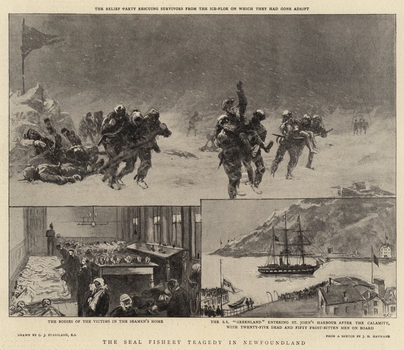 Die Robbenfischerei-Tragödie in Neufundland von Charles J. Staniland
