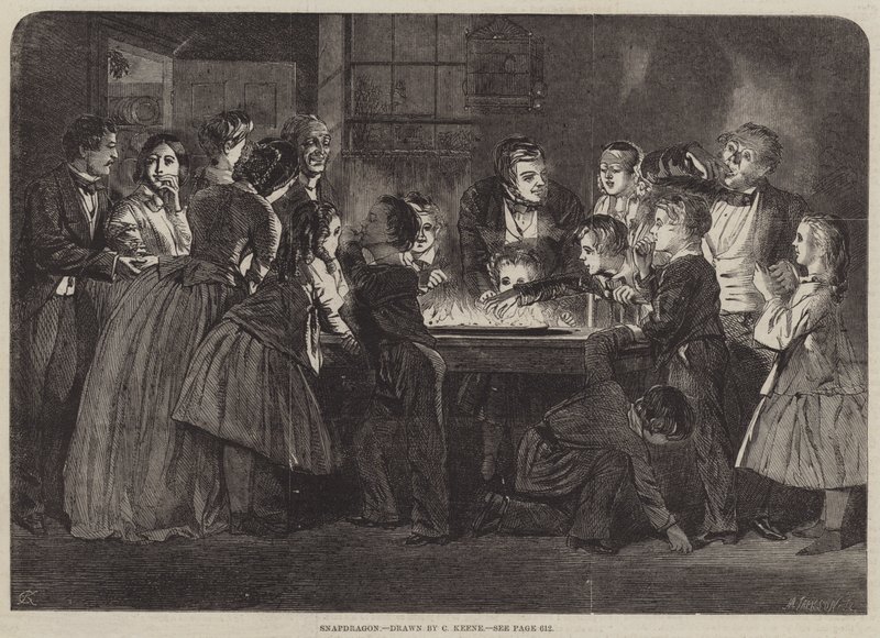 Löwenmaul von Charles Keene