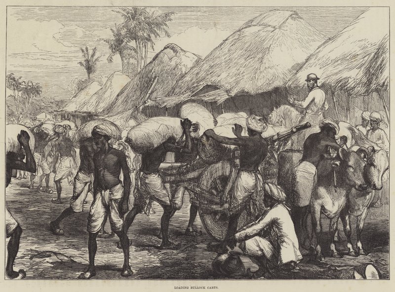 Beladung von Ochsenkarren von Sir John Charles Robinson