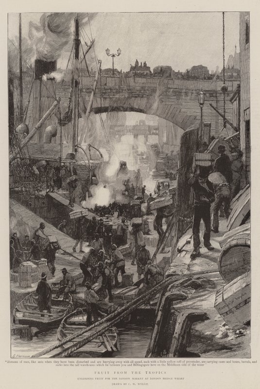 Früchte aus den Tropen von Charles William Wyllie