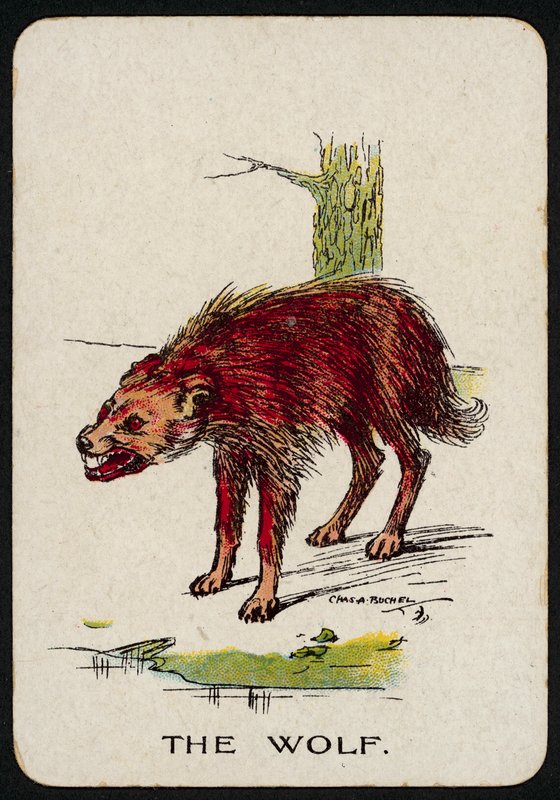 Der Wolf von Charles A. Buchel