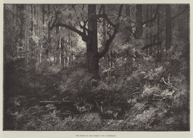 Das Herz des Waldes von Charles Auguste Loye