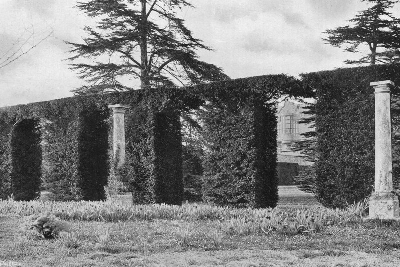 Eine stattliche gewölbte Hecke von Charles Latham