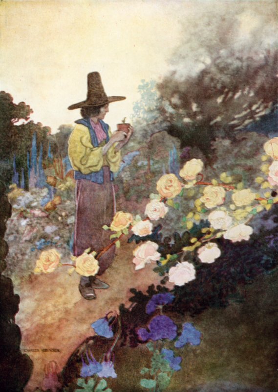 Hans in seinem Garten von Charles Robinson