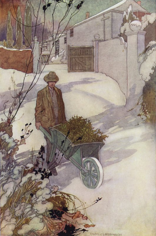 Unser sentimentaler Garten: Winter von Charles Robinson