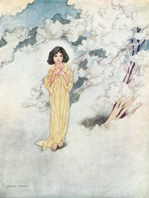 Der kleine Junge, den er geliebt hatte von Charles Robinson