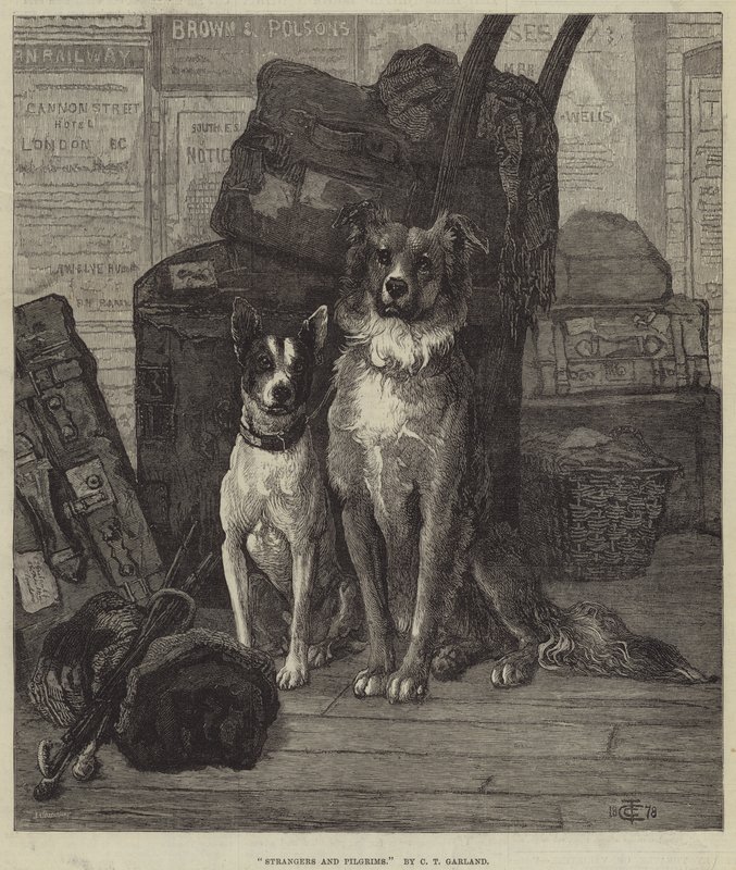 Fremde und Pilger von Charles Trevor Garland