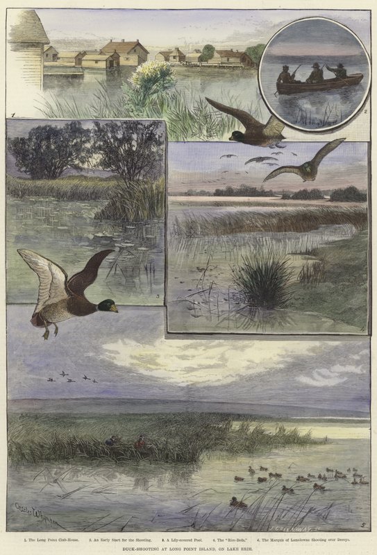 Entenjagd auf Long Point Island von Charles Whymper