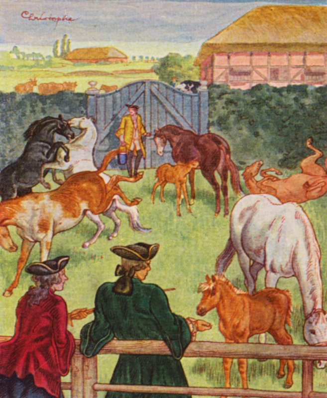 Gestüt von Christophe (1856 1945)