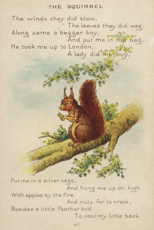 Kinderreim: Das Eichhörnchen von Constance Haslewood